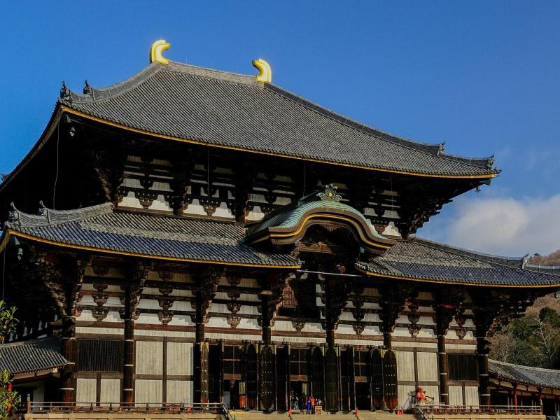 Toyoko Inn Nara Shin-Omiya Ekimae image