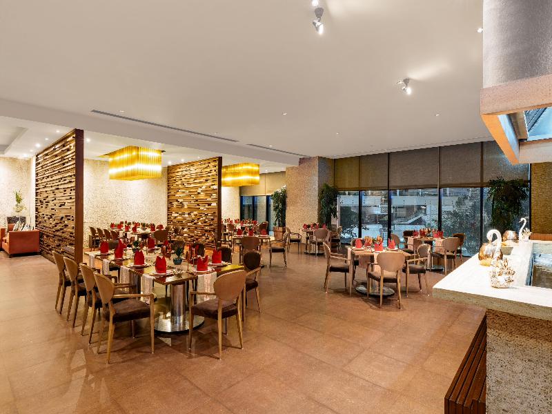 Radisson Blu Hotel New Delhi Paschim Vihar image