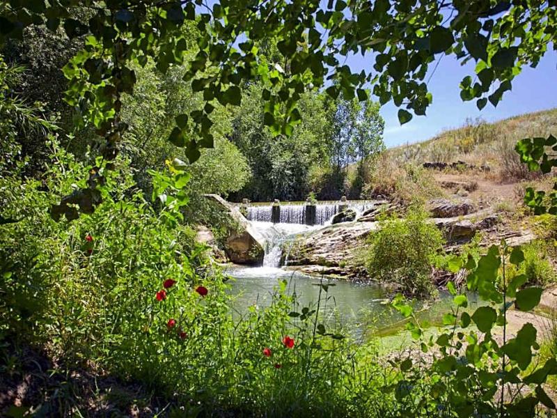 Molino Del Puente image