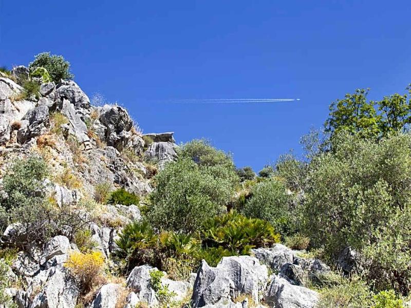 Molino Del Puente image