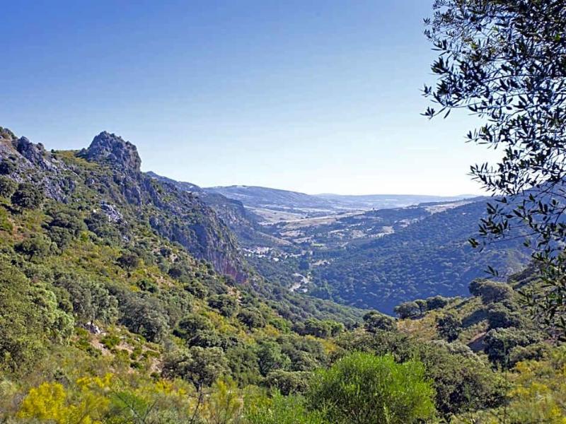 Molino Del Puente image