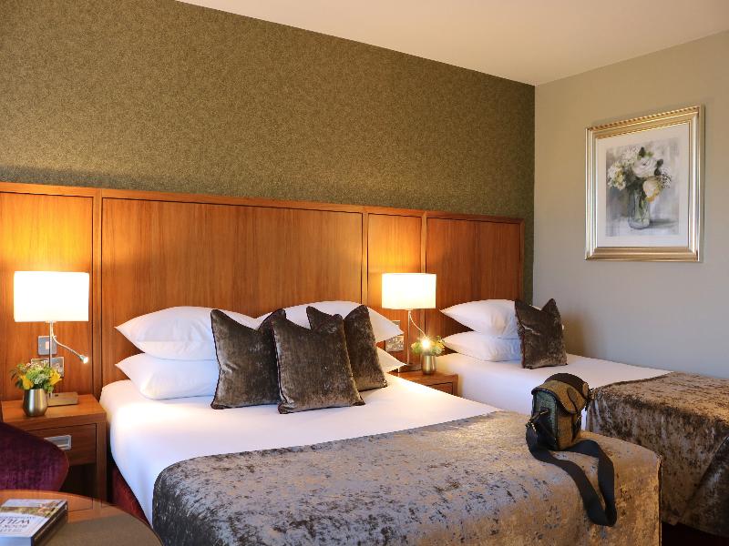 The Rose Hotel image
