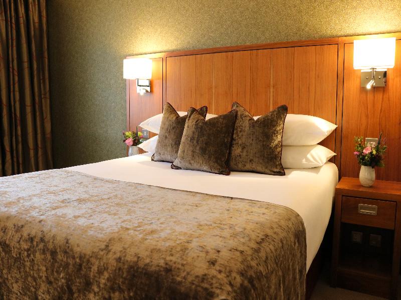 The Rose Hotel image