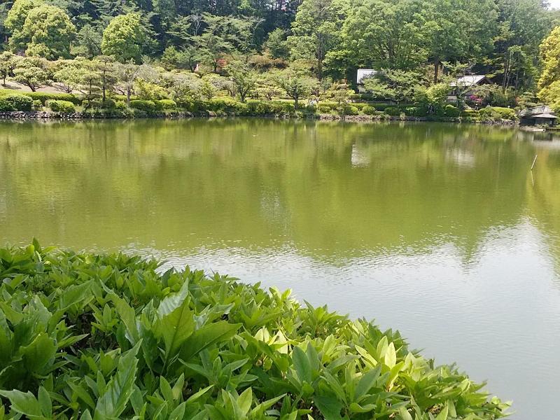 Toyoko Inn Machida-Eki Odakyu-Sen Higashi-Guchi image