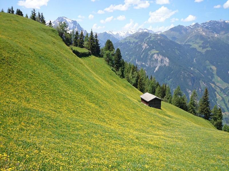 Eckartauerhof image