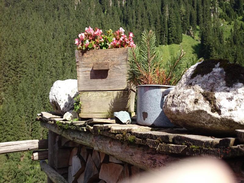 Eckartauerhof image