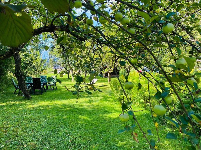 Rainhof image