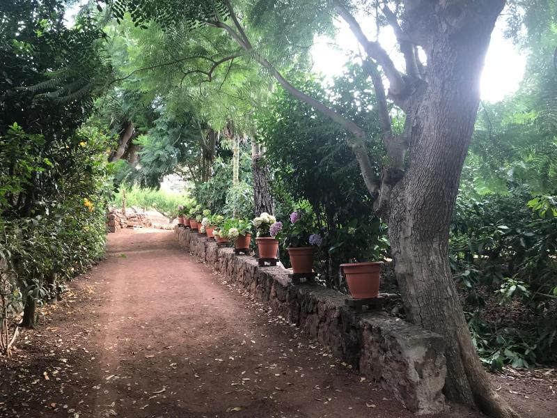 Finca El Vergel Rural image
