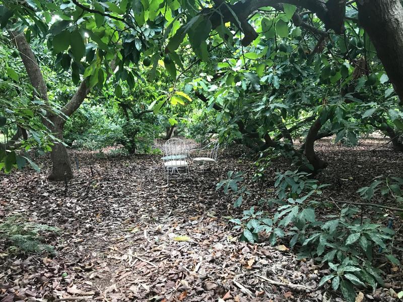 Finca El Vergel Rural image