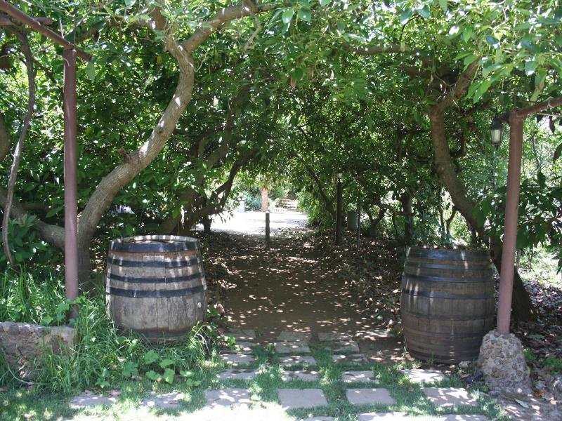 Finca El Vergel Rural — general view