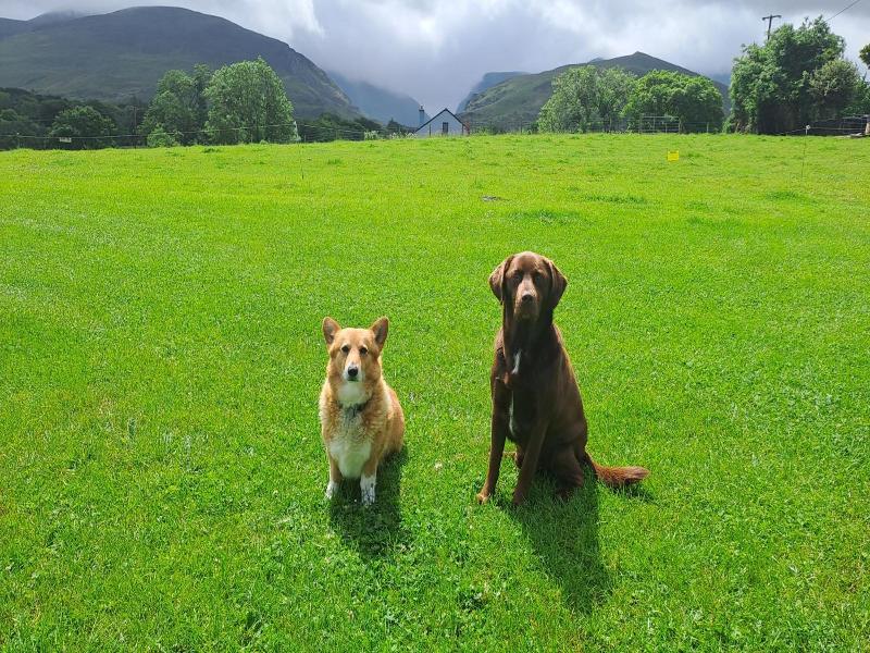 Inveraray image