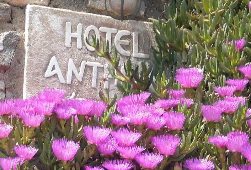 Fotos Hotel Anthippi