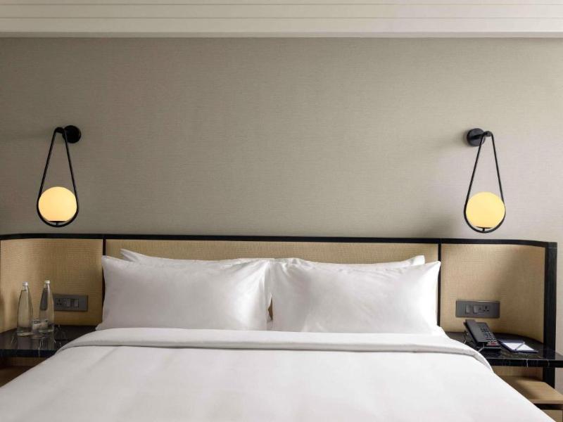 Pullman Chennai Anna Salai image
