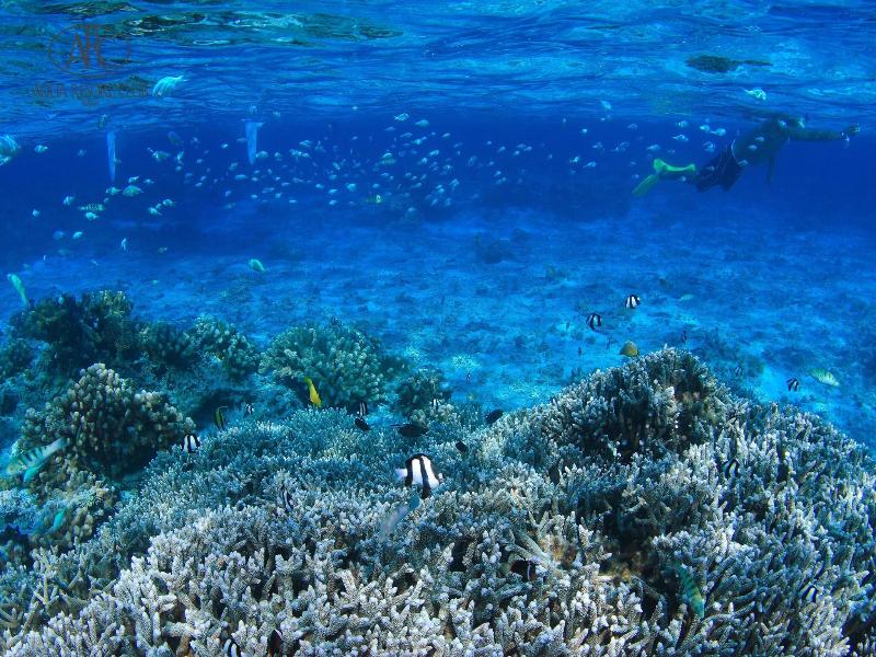 Aqua Resort Club Saipan image