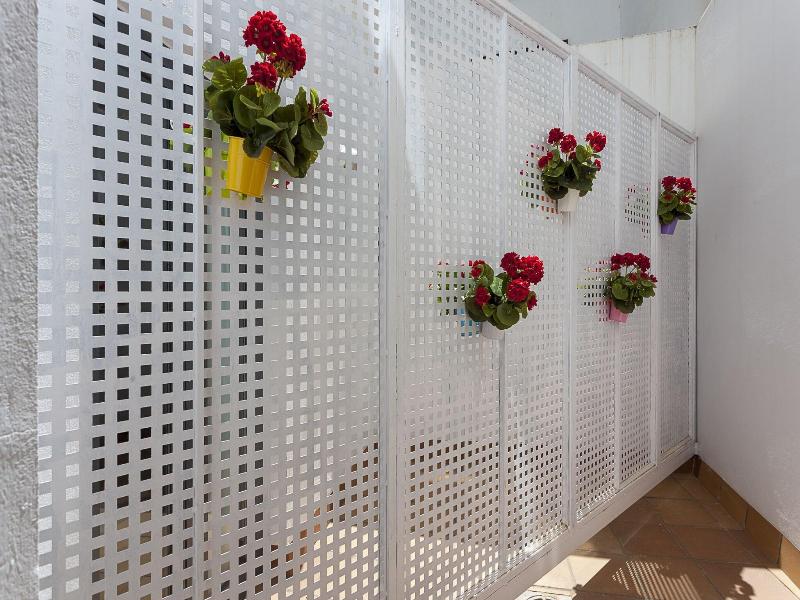 AACR Museo image