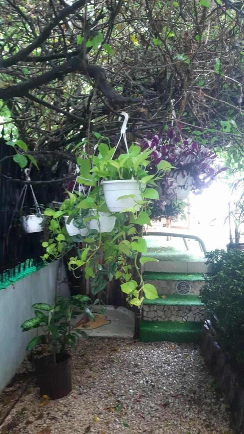 Samara Inn image