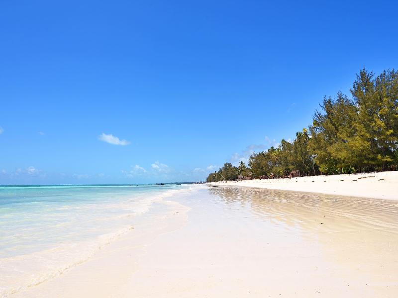 Melia Zanzibar image