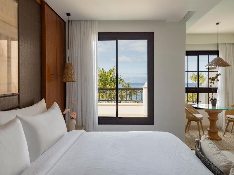 Redlevel At Melia Palacio De Isora image