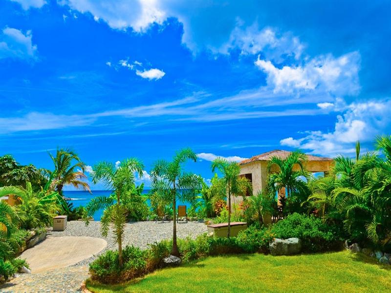 Sea Shore Allure image