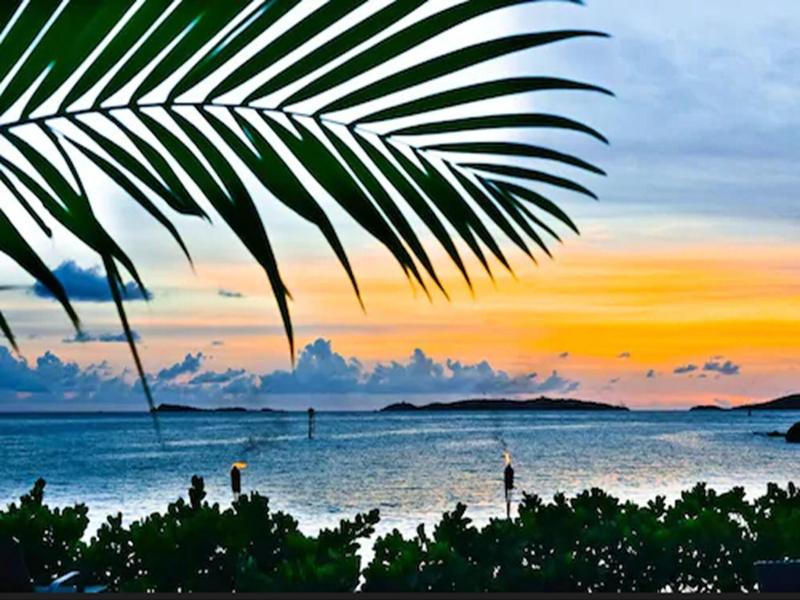 Sea Shore Allure image