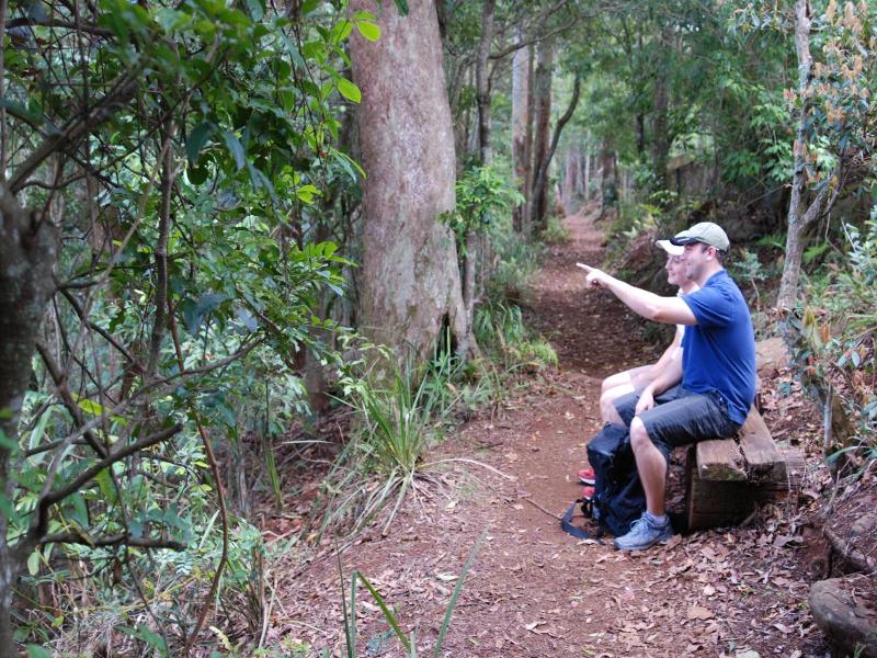 Witches Falls Cottages On Tamborine image