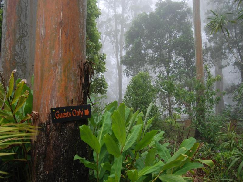 Witches Falls Cottages On Tamborine image