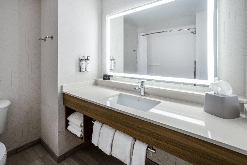 Holiday Inn Express & Suites Tampa-I-75 photo 17