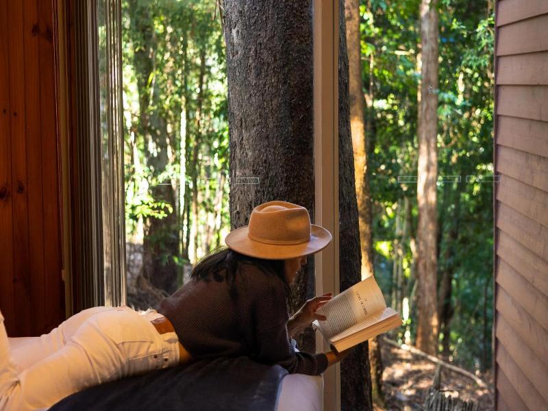 Kondalilla Eco Resort image