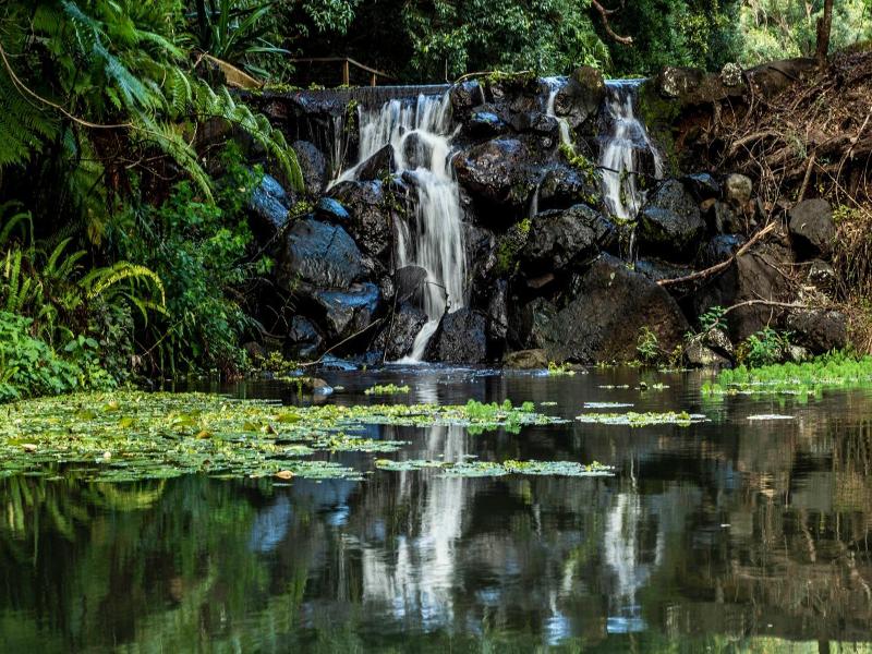 Kondalilla Eco Resort image