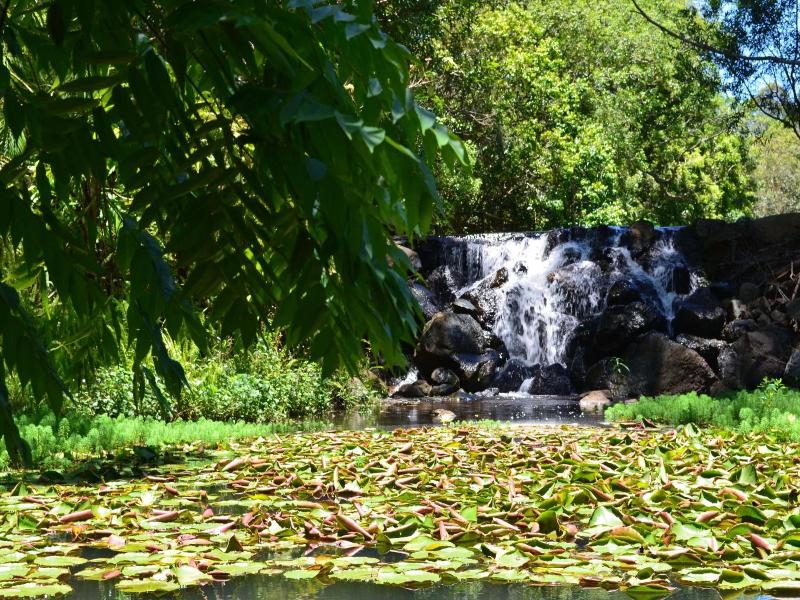 Kondalilla Eco Resort image