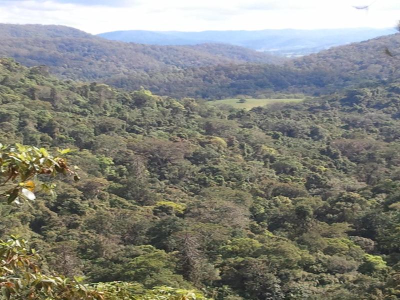 Kondalilla Eco Resort image