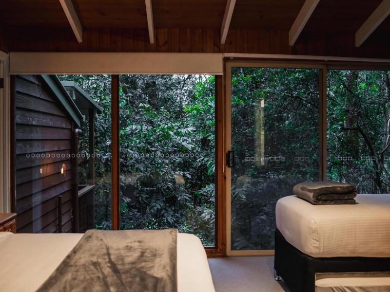 Kondalilla Eco Resort image