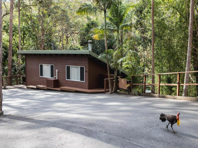 Kondalilla Eco Resort image