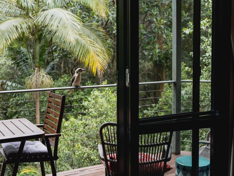 Kondalilla Eco Resort image