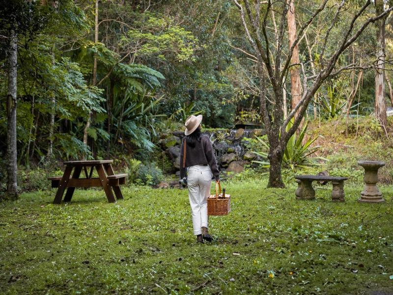 Kondalilla Eco Resort image