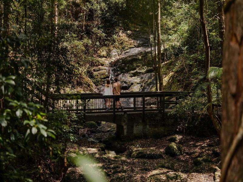 Kondalilla Eco Resort image