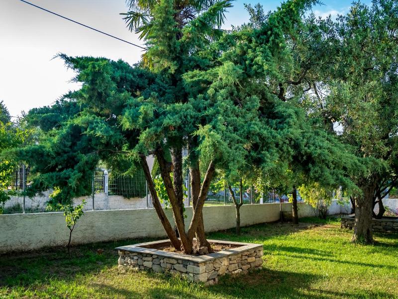Villa Dafni image