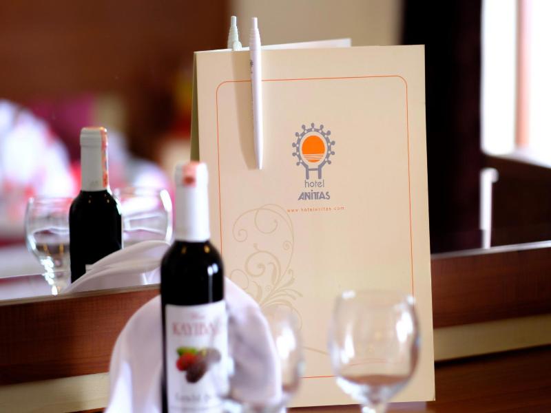 Anitas Beach Hotel image