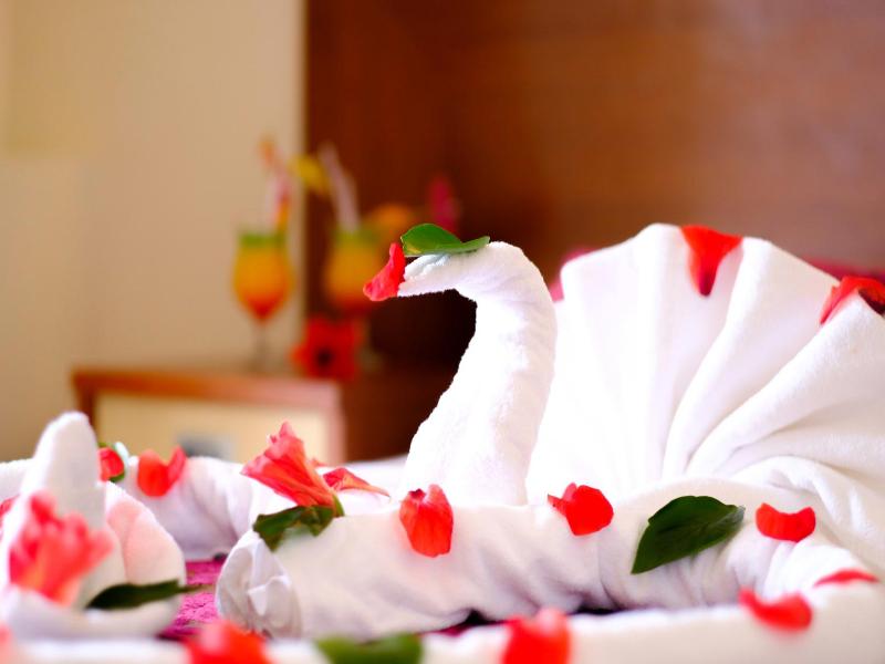 Anitas Beach Hotel image