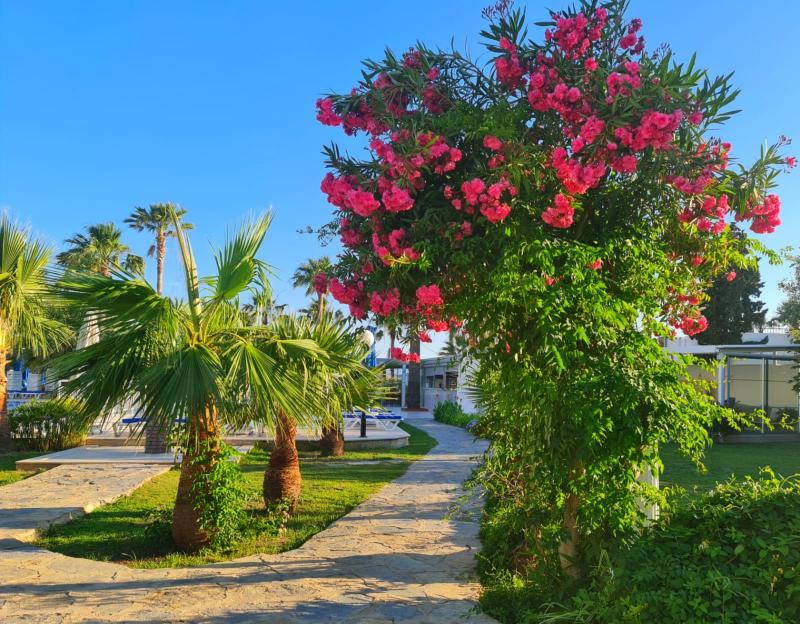 Nagi Beach Hotel image