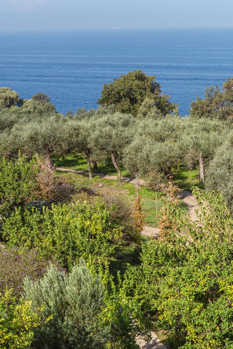Relais Regina Giovanna image