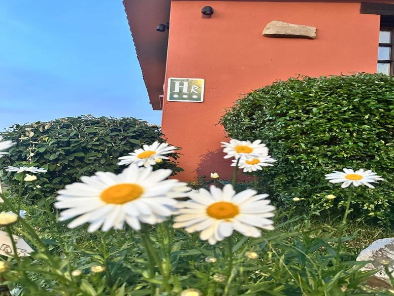 Hotel Mirador de Deva image