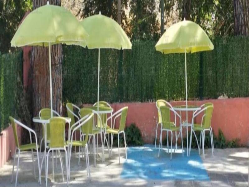 Hostal Aravaca Garden image