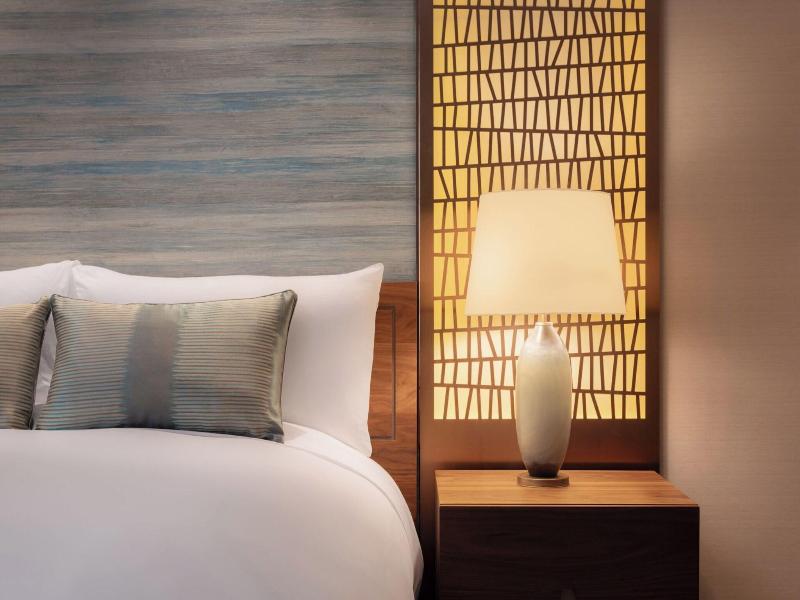 The Ritz-Carlton, Santiago image