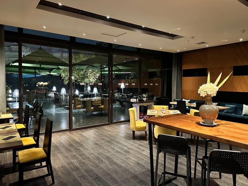 Wyndham Santiago Pettra image