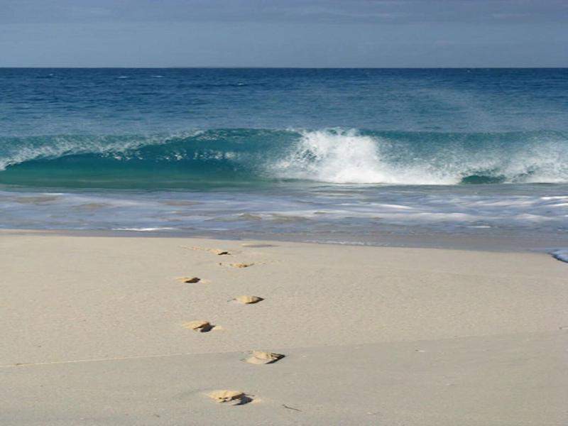 Carimar Beach Club image