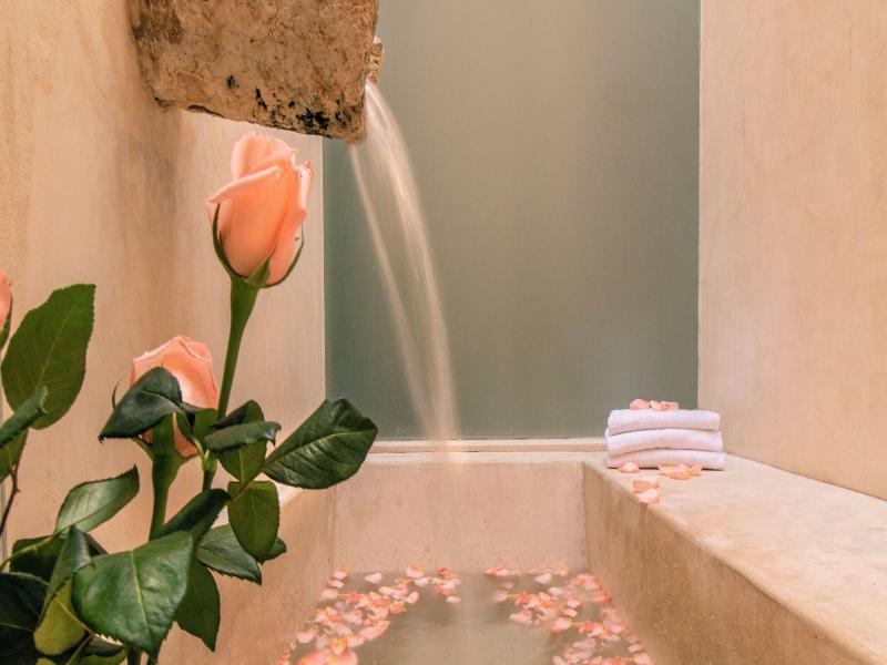 Rosas & Xocolate Boutique Hotel Spa image