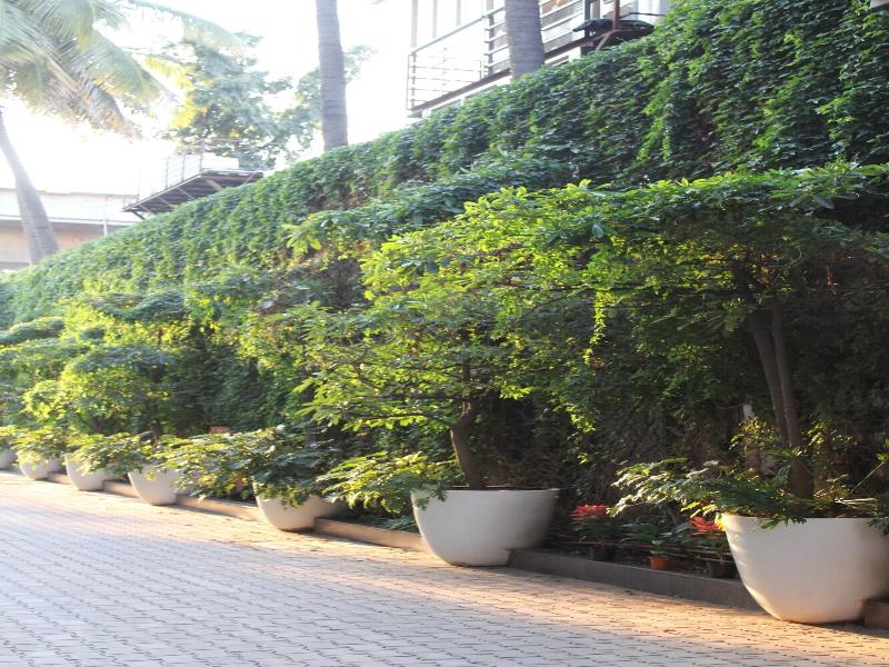 Fairfield by Marriott Bengaluru Whitefield image