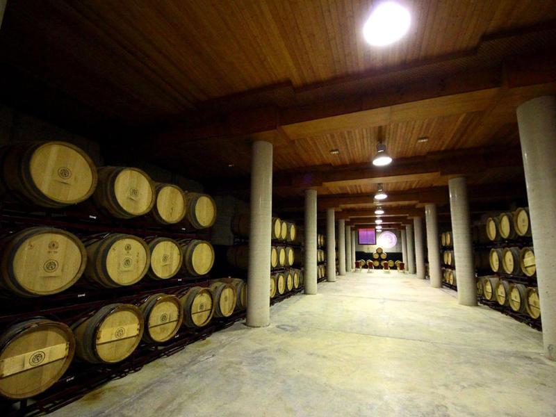 Château Viñasoro image