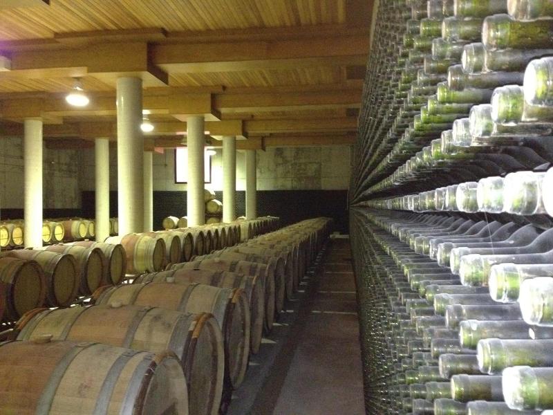 Château Viñasoro image